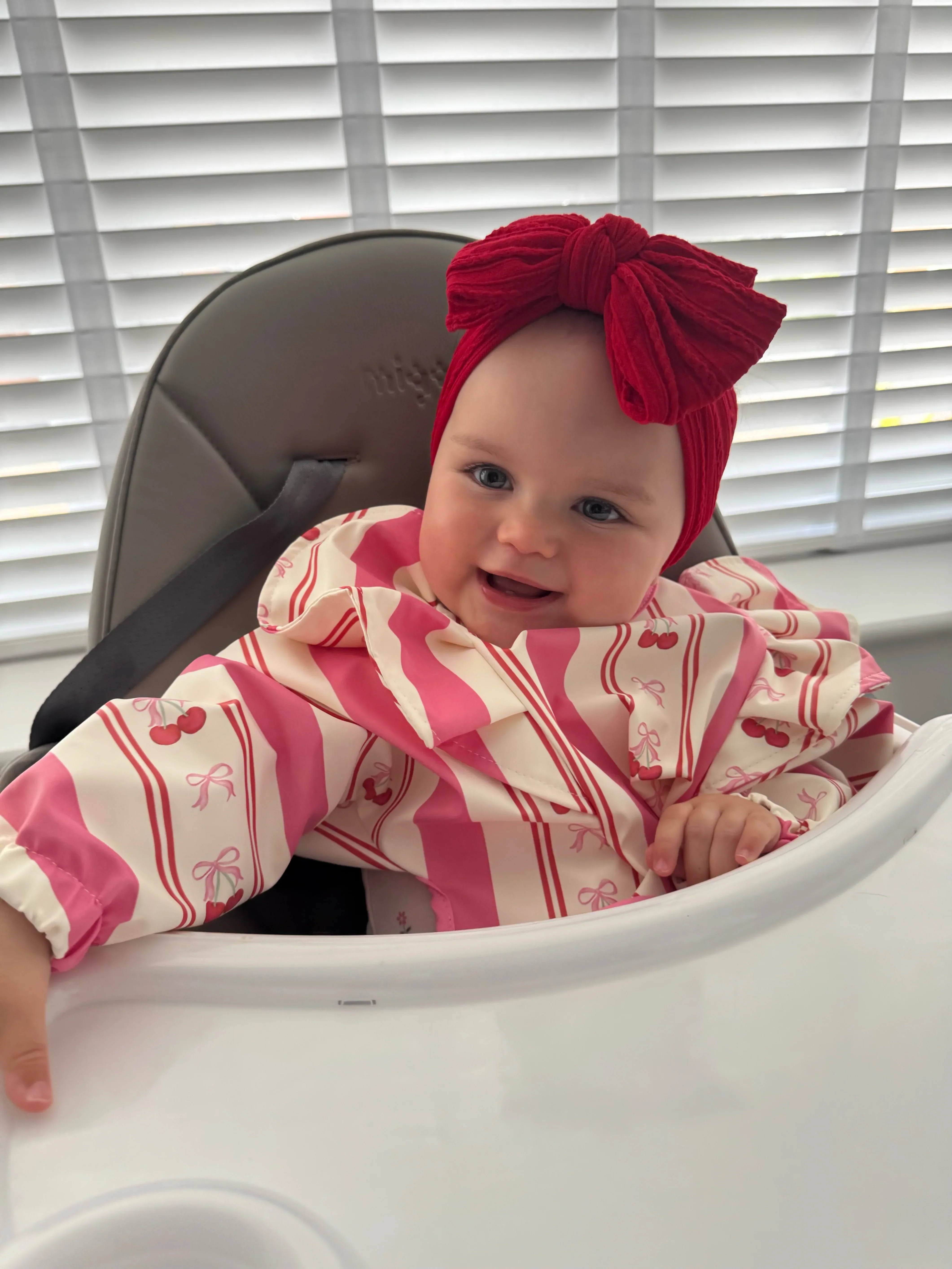 Pink Pinstripe Cherry Pattern Frill Detailed Waterproof Bib with Sleeves - Image 4